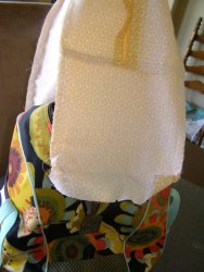 Place lining into bag.