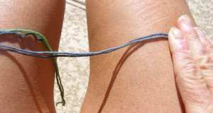 Push 2 strands out of the way and twist other two by rolling on thigh.