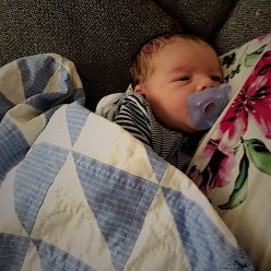 basiq close up w fitzy